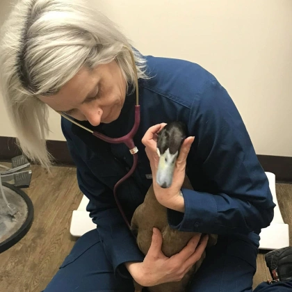 Самойлова Анна Андреевна